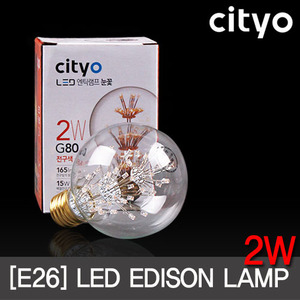 씨티 LED 에디슨 눈꽃 2W G80