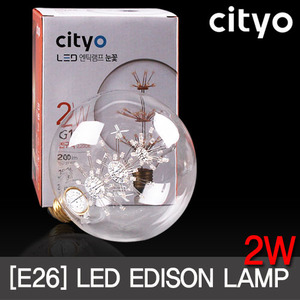 씨티 LED 에디슨 눈꽃 2W G125