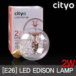 씨티 LED 에디슨 눈꽃 2W G95
